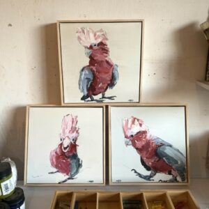 Framed Galah