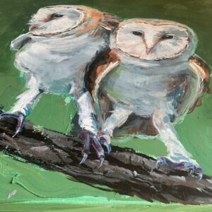 Owl Pair